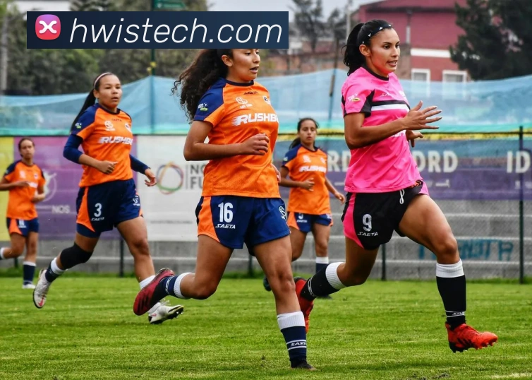 乐鱼官网app登录入口APP 高清赛事图